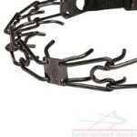 Schwarzes Stachel Halsband by Herm Sprenger