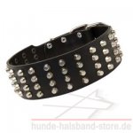 Extra breites Pyramiden Lederhalsband für Cane Corso_2