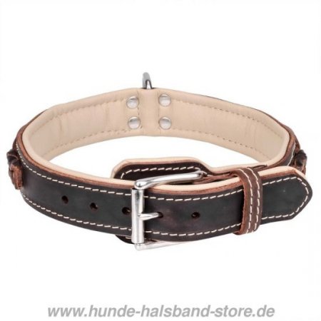 Tolles Lederhalsband mit Flechten und verschromtem Schmuck