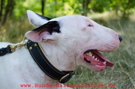 Breites Hundehalsband Leder mit Rindnappa-Leder