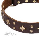 Braunes Halsband "High Fashion " von FDT Artisan