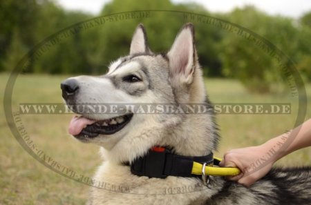 Nylon Hundehalsband mit Verschluss und dem Griff