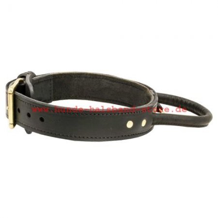 Leather dog collar with handle for Amstaff