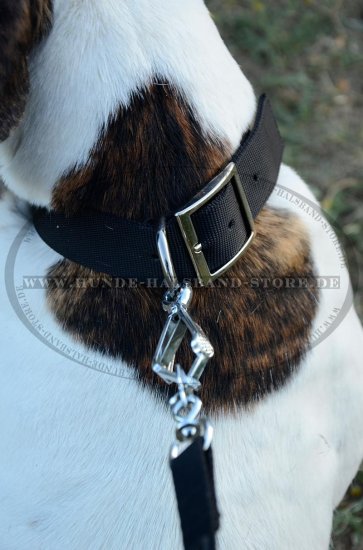 Hundehalsband Nylon Schwarz