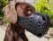 Hundemaulkorb verstärkt "Dondi Plus" für Dobermann