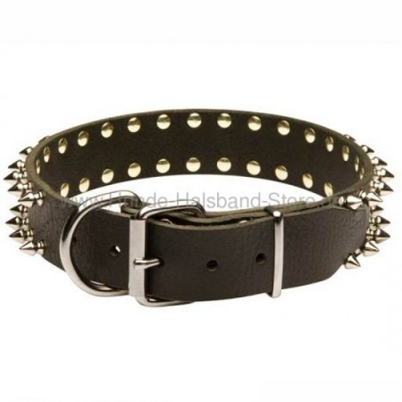 Bestseller Hundehalsband Amstaff aus Leder mit 2-reihigen Nieten