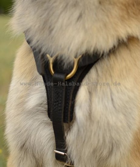 Such- und Lauf-Hundegeschirr aus Leder für Tervueren