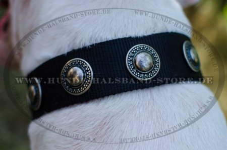Hundehalsband für Große Hunde aus Nylon mit Silber Konchen