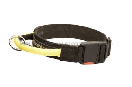 Nylon Hundehalsband mit Verschluss und dem Griff