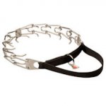 Stachelhalsband mit dem Griff