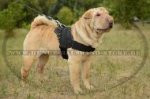 K-9 Brustgeschirr aus Nylon für Shar-Pei