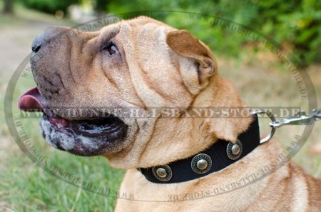 Hundehalsband für Große Hunde aus Nylon mit Silber Konchen