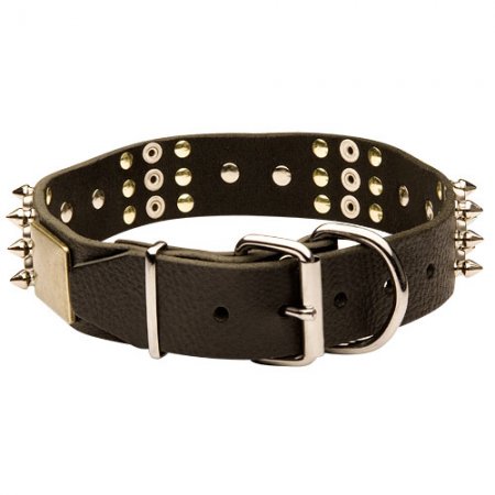 Staffordshire Bullterrier Bestseller Halsband mit Spikes Pyramiden