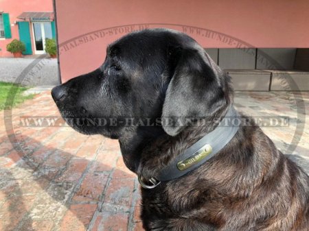 Hunde Halsband aus Leder mit ID-Tag