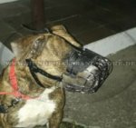 Belüfteter Beißkorb aus Draht für Amstaff