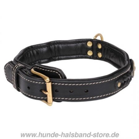 Luxus Hundehalsband aus Leder, Flechten und Goldmessing!