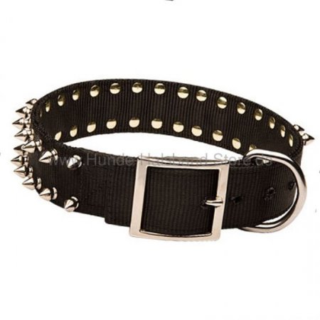 Hundehalsband aus Nylon mit Spikes