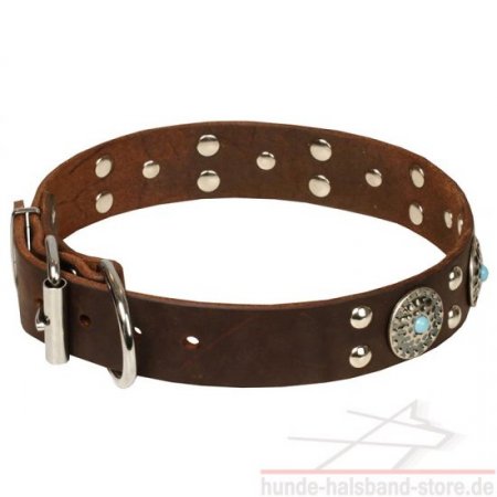 Unglaubliches Hunde Halsband Leder