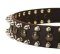 Hundehalsband Leder mit Spikes und Nieten