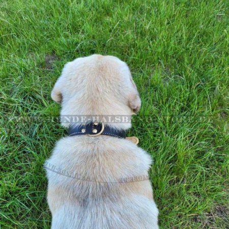 Breites Hundehalsband Leder mit Rindnappa-Leder