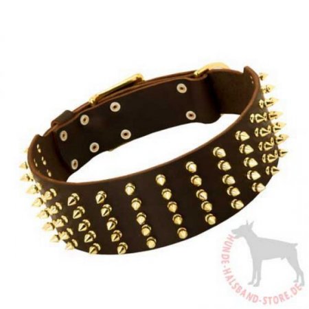 Hundehalsband mit Goldfarbigen Spikes