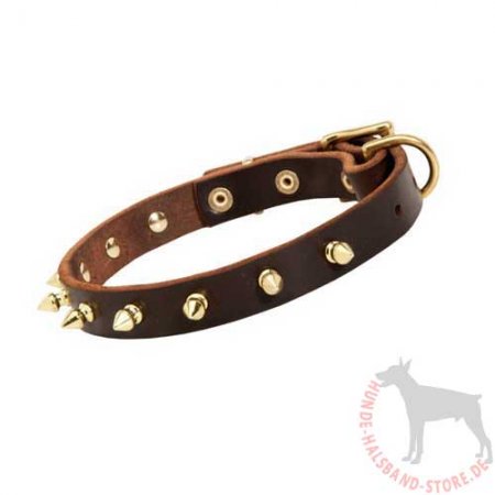 Bestseller Hundehalsband Leder für Französische Bulldogge