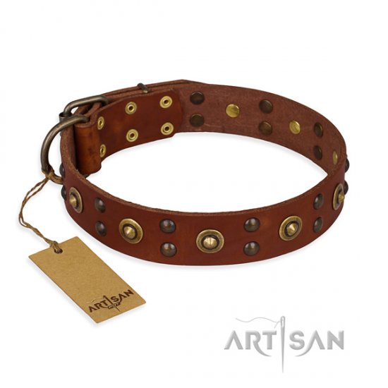 Hundehalsband aus Tan Leder von FDT Artisan "Unfailing Charm"