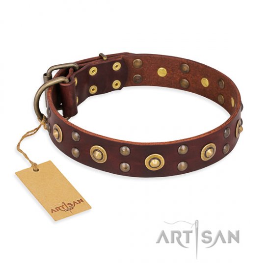 Dunkel-braunes Halsband "Caprice of Fashion" von FDT Artisan