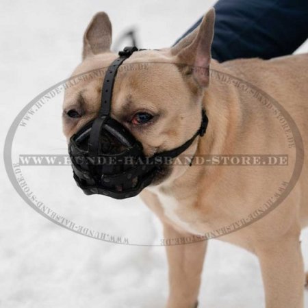 Bestseller Alltag leichter Ledermaulkorb für Französische Bulldogge