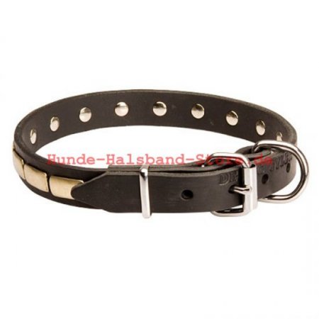 Bestseller Hundehalsband Leder für Französische Bulldogge Exklusiv