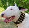 Halsband Leder Extra Breit mit Messingspikes für Bullterrier