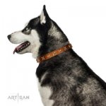 Nietenhalsband aus echtem Leder von FDT Artisan_7