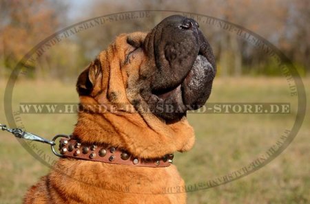 Leder Halsband für Hunde mit Nieten und Pyramiden