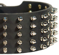 Bestseller-Hundehalsband aus Leder mit vernickelten Spikes