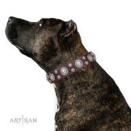 Wunderschönes Amstaff Lederhalsband FDT Artisan "Age of Beauty"