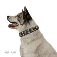 Artisan FDT Lederhalsband "Jolly Rojer" für Akita Inu