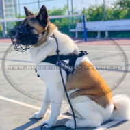 Akita Inu Drahtmaulkorb mit Gummi Bedeckung