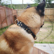 Designer Lederhalsband geflochten für Akita Inu