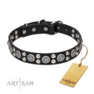 Ledernes Hundehalsband von FDT Artisan 'Galactic Style'