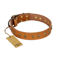 "Autumn Story" Artisan Hundehalsband aus Leder in Tan "Autumn Story" Artisan Hundehalsband aus Leder in Tan