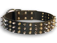 Dog collar leather with pyramids and spikes