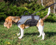 Rehabilitation Weste-Geschirr aus Nylon für Beagle