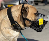 Bullmastiff Lederner Maulkorb von ForDogTrainers