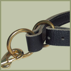 Training collar with brass rings.