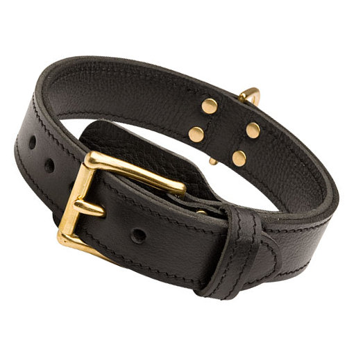 Pitbull Halsband Leder