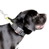 Nylon Cane Corso Hundehalsband mit Verschluss und dem Griff