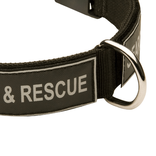 Hundehalsband Nylon mit Logos