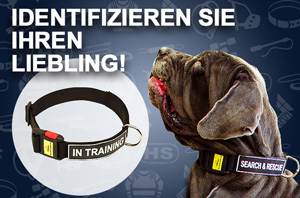 Hundehalsband mit Logo