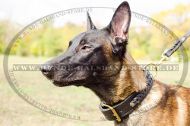 Lederhalsband mit Flechten für Ihren Malinois