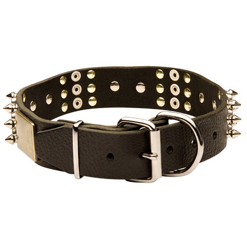 best spiked dog collar for mastiffs